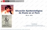 Situación Epidemiológica de Peste en el Perú