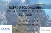 BIOPROSPECCION MARINA DE LA RESERVA EL PELADO, ECUADOR