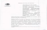 EXPEDIENTE: TEV-RAP-52/2021 ACTORA: GEORGINA BEATRIZ