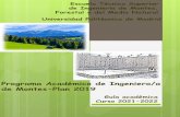 Programa Académico de Ingeniero/a de Montes-Plan 2019