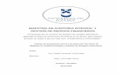 MAESTRIA EN AUDITORIA INTEGRAL Y GESTION DE RIESGOS ...