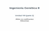 Ingeniería Genética II - unq.edu.ar