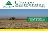 Campo Salmantino - asajacyl.com