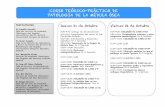 CURSO TEÓRICO-PRÁCTICO DE PATOLOGÍA DE LA MÉDULA ÓSEA