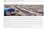 El agro está segregado en el Perú - Servindi