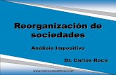 Análisis Impositivo Dr. Carlos Roca