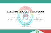 LESION DE TRAQUEA Y BRONQUIOS - Intorax