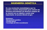 Sinónimos: Manipulación genética Clonaje génico Tecnología ...