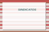 SINDICATOS - UdelaR
