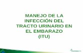 MANEJO DE LA INFECCIÓN DEL TRACTO URINARIO EN EL EMBARAZO ...