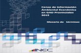 Censo de Información Ambiental Económica en GAD ...