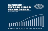 Informe de Estabilidad Financiera - BIVICA