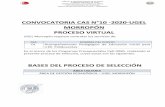 CONVOCATORIA CAS N°10 -2020-UGEL MORROPÓN PROCESO VIRTUAL