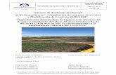 Informe de Auditoría Ambiental Ampliación de contrato 17 ...