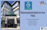 Neuroplasticidad en Pediatría