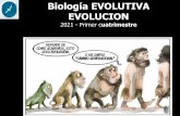 Biología EVOLUTIVA EVOLUCION