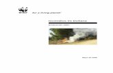 Incendios en Doñana - WWF