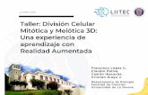 Taller: División Celular Mitótica y Meiótica 3D: Una ...