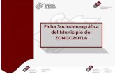 Ficha Sociodemográfica del Municipio de: ZONGOZOTLA