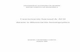 Caracterización funcional de AF10 durante la ...