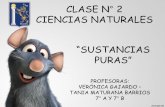 CLASE N 2 CIENCIAS NATURALES “SUSTANCIAS PURAS”