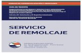GUIA DE TRAMITE REMOLCAJE - 2