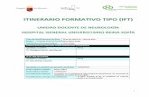 ITINERARIO FORMATIVO TIPO (IFT)
