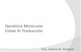Genética Molecular Clase XI Traducción