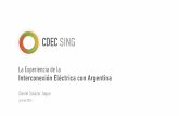La Experiencia de la Interconexión Eléctrica con Argentina