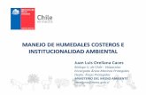 MANEJO DE HUMEDALES COSTEROS E INSTITUCIONALIDAD AMBIENTAL