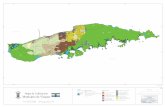 Escala: Mapa de Calificación Municipio de Vieques