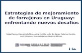 Estrategias de mejoramiento de forrajeras en Uruguay ...