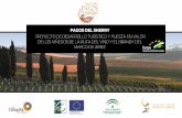 Presentación de PowerPoint - Ruta del Vino y Brandy de Jerez
