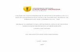CALIDAD DE CONCENTRADOS DE PLAQUETAS UNITARIOS CON 5 …