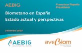 Biometano en España Estado actual y perspectivas