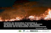 Valoración Económica de los Impactos de Estos Incendios ...