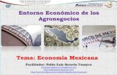 Tema: Economía Mexicana