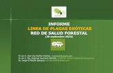 INFORME LINEA DE PLAGAS EXÓTICAS RED DE SALUD FORESTAL