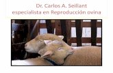 Dr. Carlos A. Seillant especialista en Reproducción ovina