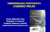 Jorge Eduardo Caro Hospital La Victoria Instituto Materno ...