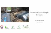 Producción de biogás Ecuador - avebiom.org