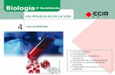 Biología 2º Bachillerato LAS MOLÉCULAS DE LA VIDA 4 Las ...