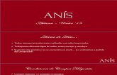 Presentación Mayorista - ANIS