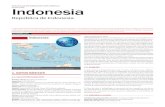 Indonesia Ficha Pais