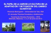 El papel de la Agrosilvicultura en la adaptaci³n y mitigaci³n del Cambio Climtico