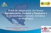 Plan de adaptaci³n del sector agropecuario, forestal y pesquero a la variabilidad y cambio climtico en Nicaragua