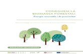 CONEGUEM LA BIOMASSA FORESTAL!afib.ctfc.cat/pect/ la biomassa forestal, els seus usos i beneficis. ...