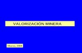 VALORIZACION MINERA 1-2008-I
